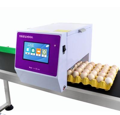 China Hotels High Speed Egg Batch Code Inkjet Printer Automatic Egg Stamping Inkjet Marking Machine for sale