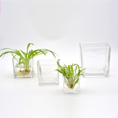 China Cube Glass Vase Tabletop Garden Pot Vase In Place Minimalist Mini Greenhouse High Quality Clear Hydroponic Glass Succulent for sale