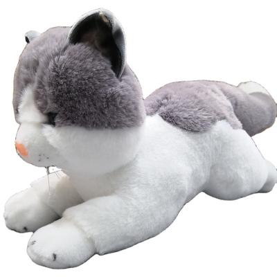 China Eco-friendly Plush Material Cheap Custom Simulation Price Cute Cat Plush Toy for sale