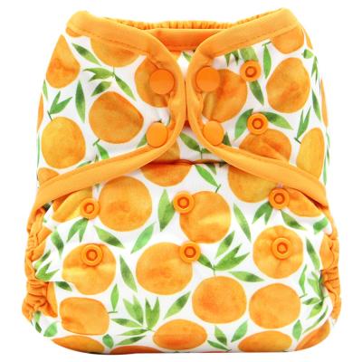 China Fruit Print Printed Diaper Cover Baby Cloth Diaper Reusable Absorbent Material Premium Baby Diapers Wholesale for sale