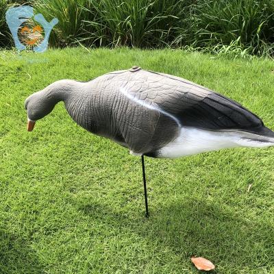 China EVA Foam Canada Goose Decoy Lightweight Inflatable Duck Hunting Decoy for sale