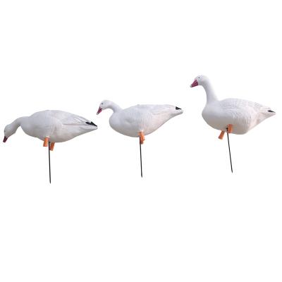 China Lightweight Collapsible EVA Foam Canadian Goose White Snow Goose Duck Hunting Decoy Wild Decoy for sale