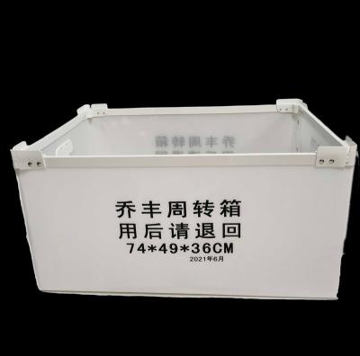 China Foldabe Foldabe Corrugated Corflute Box Corflute Corrugated Polypropylene Cardboard Sheet Container Coroplast Hollow Storage Box for sale