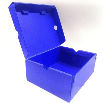 China Eco - Friendly Corflute Box PP Corrugated Box With Customized Size OEM Logo For Package for sale