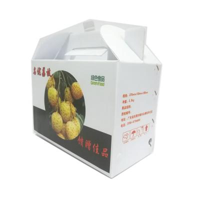 China Custom reusable pp recycled materials corrugated plastic fruit and vegetable boxes for packaging for sale