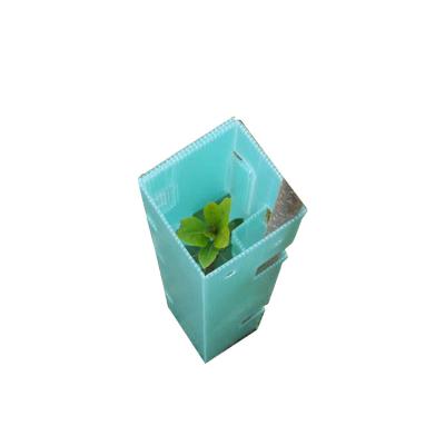 China Wholesale High Quality Eco-friendly Plastic Tree Protector PP Corflute Tree Guard for sale