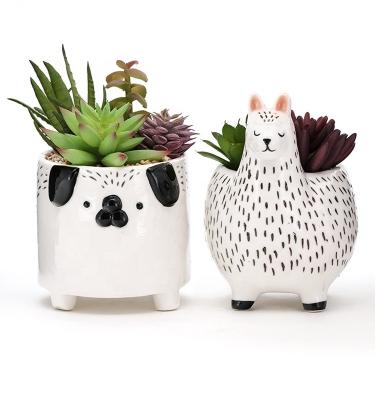 China Animal Flower Pots Succulent Plant Pot Customized Plant Propagation Planter Ceramic Planter for sale