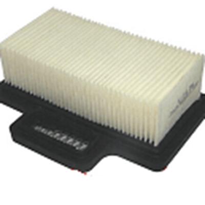 China WM80 engine air filter BS60-2 WM80 5200003062 for wacker tamping lady parts for sale
