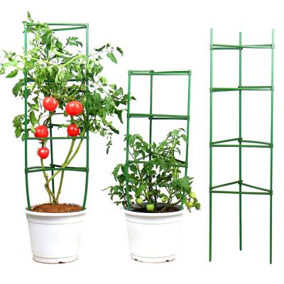 China Direct Planter Trellis Tomato Plant Support Cage Planter Garden Work Climbing SalesGreenTomato Cage for sale