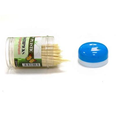 China Cheap price two sharpes easily cleaned disposable bamboo toothpicks for sale