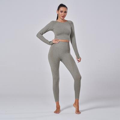 China 10 Colors Breathable In Stock Quick Dry Seamless Active Compression Women Fitness And Yoga Wear for sale