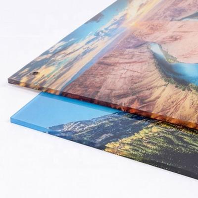 China Competitive price high quality poster self adhesive vinyl pp poster printing banner printing for sale