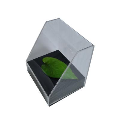 China On Shelf / Desk China Factory Supply Customized Dustproof Acrylic Display Case Box for sale