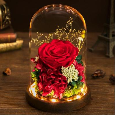 China For Gifts Rose Real Preserved Rose Flower Eternal Red Eternal Rose in Flower Glass Dome Valentine's Day Gift for sale