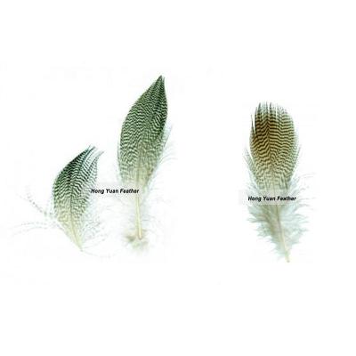 China Decoration Feather Horng shya 2-4 inch Material Sell Duck Feathers and Duck Flank Gadwall Barred Duck for Sale for sale