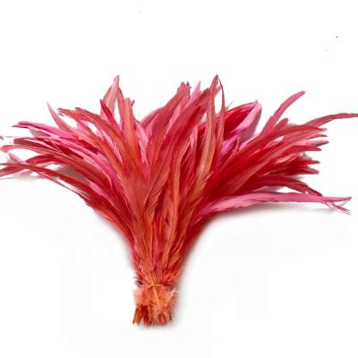 China Decoration Feather China Manufacturer Export High Prime Quality Material Rooster Tail Feathers For Hair Extensions Cheap for sale