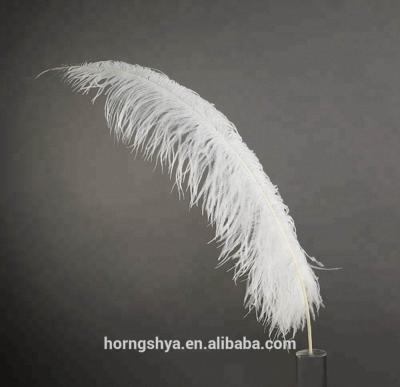 China Ostrich feather 50-55cm handmade long ostrich feather for sale ostrich feathers for wedding decoration holders for sale