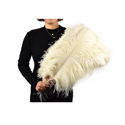 China Wholesale Natural Decorative White Ostrich Feather 20-22inch Feathers Decoration Ostrich Feather For Wedding Centerpieces for sale