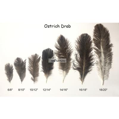 China Decoration feather material. Feather for Party Items or Mask Feather Factory Handcraft Different Sizes High Quality Ostrich Feathers Centerpieces for Wedding Decoration for sale