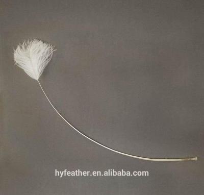 China For Arts And Craft Feathers Decorative Ostrich Feathers Decoration Ostrich Feather for sale