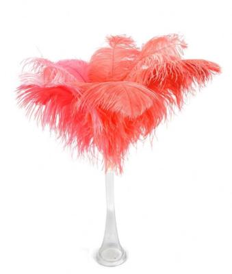 China Wholesale Natural Decorative White Ostrich Feathers Party For Wedding Centerpieces for sale