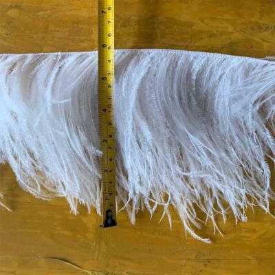 China High Quality Feather CHINA Ostrich Feather Trim Feather Fringe for sale