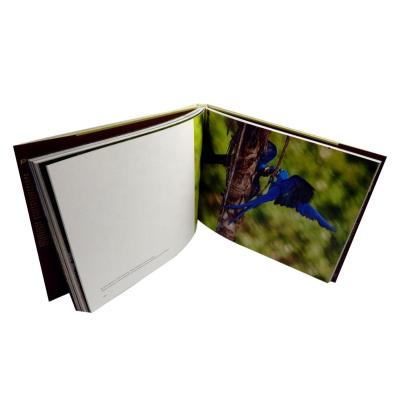 China paper & Cardboard Excellent Quality Free Sample Custom Full Color Printing Book for sale