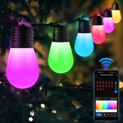 China Tuya smart led string light outdoor ip65 dimmable tuya string bulbs and RGBW Smart Wi-Fi changeable dreamcolor led string light for sale