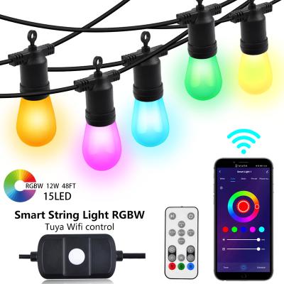 China Tuya smart wifi remote control led string light three in one multi control 48FT 15 bulbs Tuya led light string dreamcolor festoon lights rgbw for sale