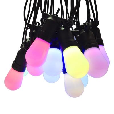 China New Developed Tuya smart led string light led bulb string lights 48FT Outdoor WiFi smart tuya led string light for sale