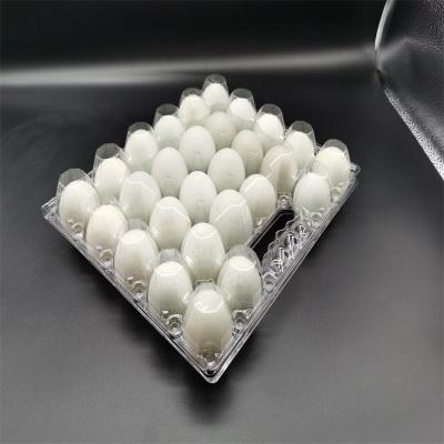 China Factory 28 Straight Hair PET Material Plastic Environmental Friendly Plastic Packing Box Well Biodegradable Handheld Plastic Egg Tray for sale