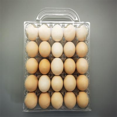 China Plant Straight Hair 25 Well Biodegradable Handheld Plastic Egg Tray Environmental Friendly Plastic PET Material Plastic Packing Box for sale