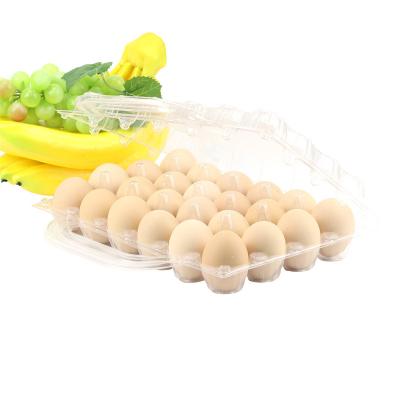 China Customized Stylish 24 Holes Transparent PET Plastic Clamshell Blister Packing Egg Containers For Carry for sale