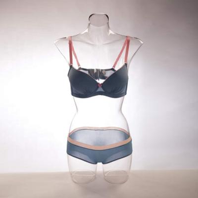 China Dummy Transparent Female Dummy Plastic Underwear Bra Display Rack PC Upper Body Bust Mannequin Torso for sale