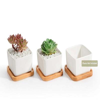 China Hotel Restaurant Home Wholesale Creative Hot Sale New Rustic Mini Flower Pot Tray Wooden Tray for sale