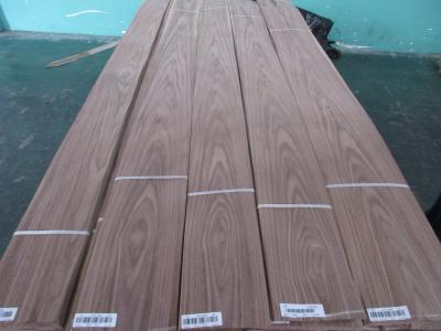 China Natural Walnut Wood Veneers American Walnut Natural Veneers from Shunfang Veneer for sale