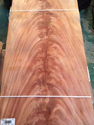 China Mahogany, African Khaya Crotch Wood Veneer for sale