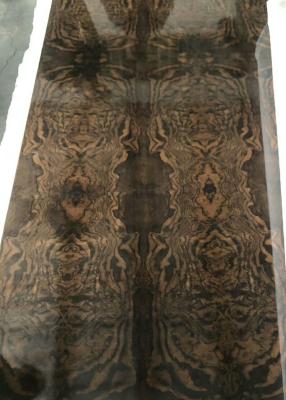 China Walnut Burl Veneer Walnut Burr Veneer Exotic Walnut Burl Wood Veneer for Fine Furniture for sale