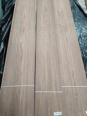 China WALNUT VENEER American Walnut Natural Wood Veneer for Office Furniture Veneered Doors and Interior Design for sale