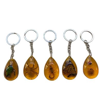 China Insect specimen car supply from Europe main chain small amber pendant living gift factory direct supply for sale