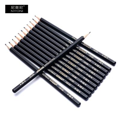 China Office & School Pencil Nyoni Black Arts Charcoal Pencil Graphite Pencils 2H HB 2B Hexagon Sketch DrawingFine Art Pencil Set For Arts Work for sale