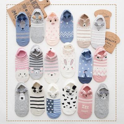 China Viable Cute Animal Socks Kawaii Feminine Cat With Dog Summer Cotton Short Sock Slippers Women Casual Soft Funny Boat Socks for sale