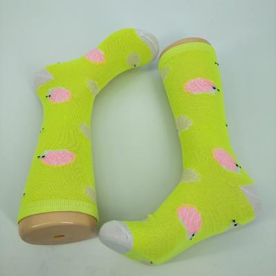 China ZHUJI Sustainable Factory Hot Selling Fluorescent Socks For Adult for sale