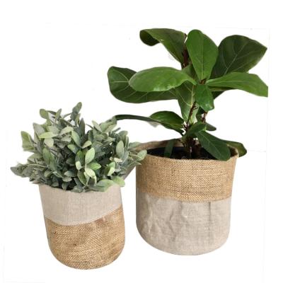 China Fashion Mushroom Potted Plant Canvas Hessian Bag, Plant Nursery Bag, Grow Bag for sale