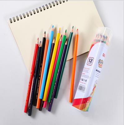 China Drawing Writing 12pcs Hot Color Pencil Set 12pcs Color Pencil In Tin Tube for sale