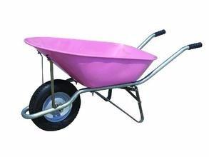 China Gradn Garden Flower Metal Wheelbarrow for sale