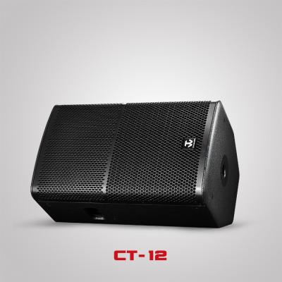 China Professional 12inch DJ Professional Bass Speaker Plywood Sound System Box CT-12 for sale