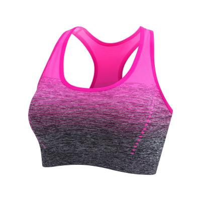 China New Amazon Sports Breathable High Stretch Bra Top Breathable Fitness Women Padded For Yoga Running Gym Crop Bra Seamless Gradient Sports Bra for sale