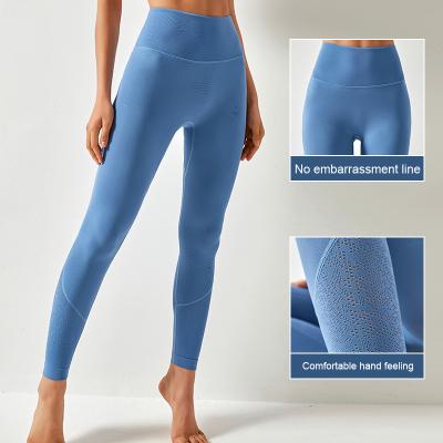 China 2022 New Design Alphalete Sport Fitness Yoga Pants Women Workout Butt Lift Compression Breathable Gaiters for sale