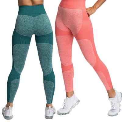 China Antibacterial Wholesale Yoga Leggings Pants Fitness Plus Size High Waisted Seamless Leggings for sale